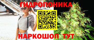 сатива Изобильный