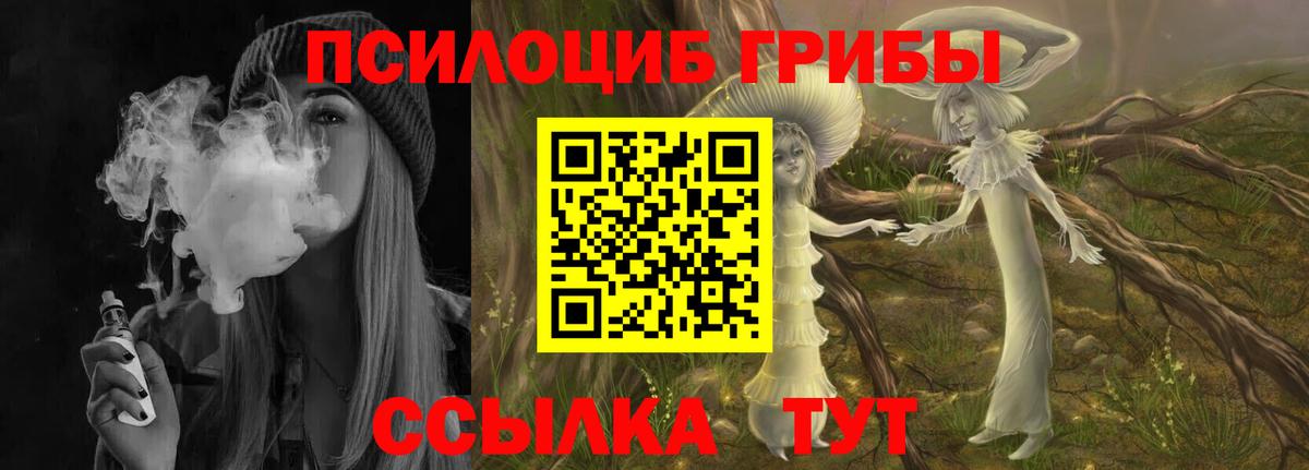 Ефремов  Псилоцибиновые грибы мухоморы  Галлюциногенные грибы Psilocybe  Вход с VPN 